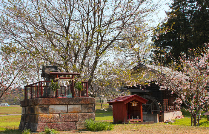 春の神田神社と水車小屋
